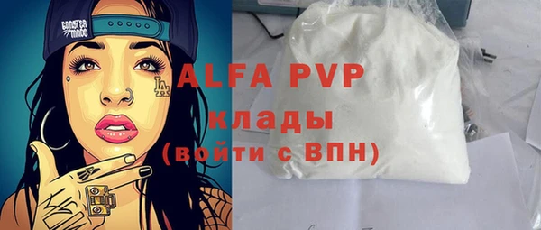 СК Волоколамск